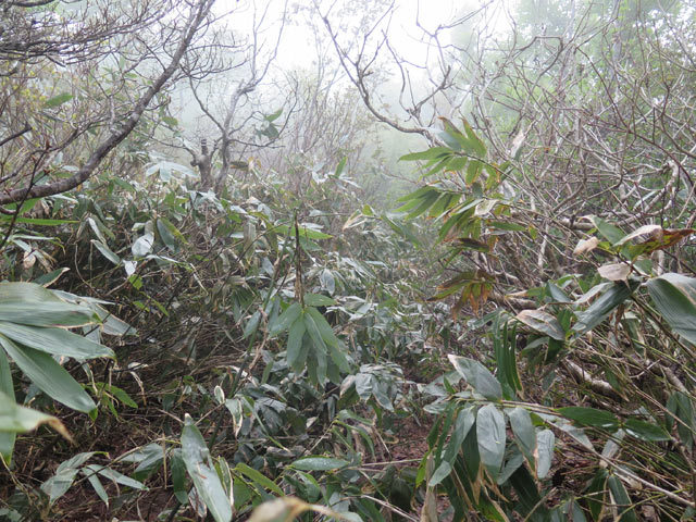 c0116856_19220072.jpg