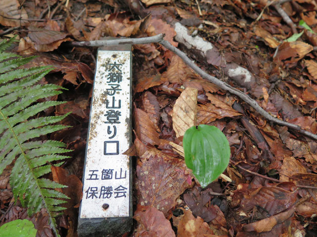 c0116856_19221897.jpg