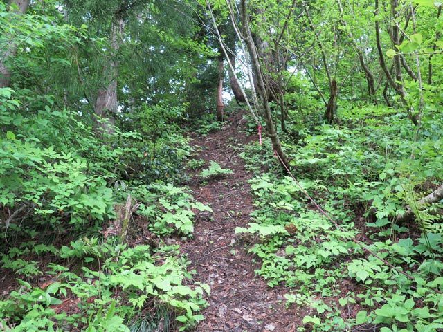 c0116856_19271740.jpg