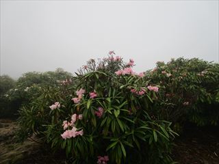 d0045362_10571893.jpg