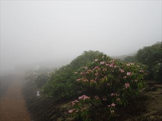 d0045362_10572479.jpg