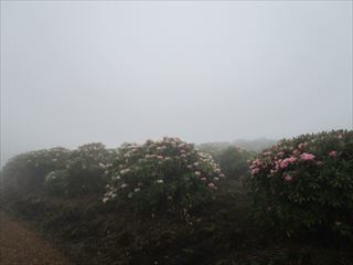 d0045362_10573330.jpg