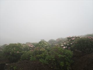 d0045362_10573809.jpg