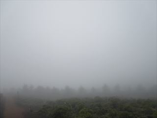 d0045362_10574776.jpg
