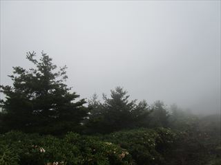 d0045362_10575149.jpg