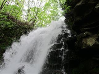 d0045362_22541647.jpg