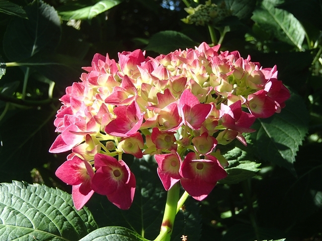 b0044663_15555522.jpg