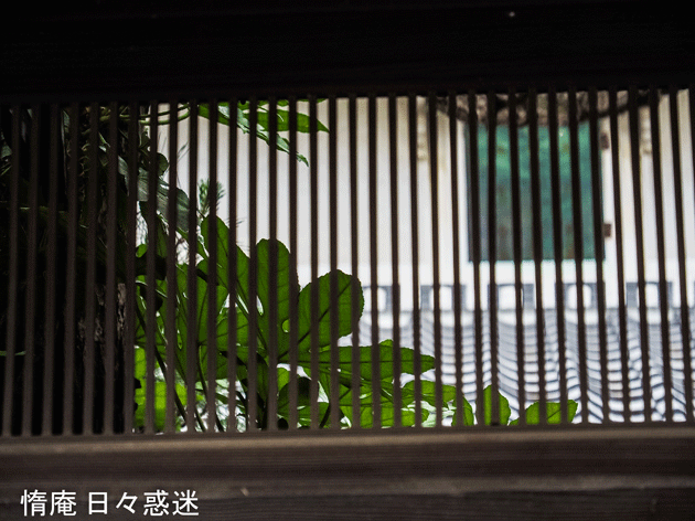 e0346064_16135416.gif
