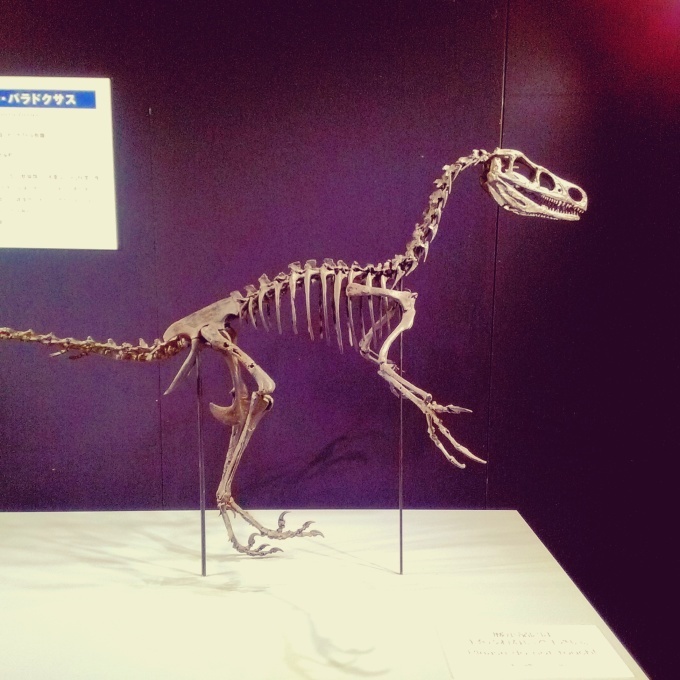 e0029472_00292241.jpg