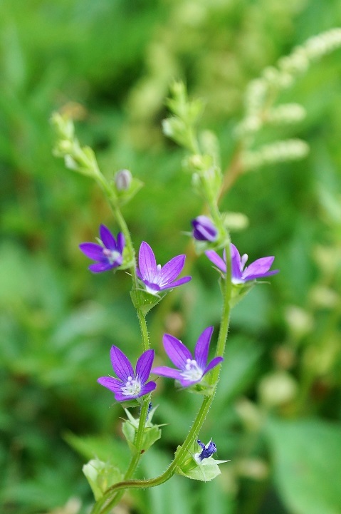 c0248473_20585949.jpg