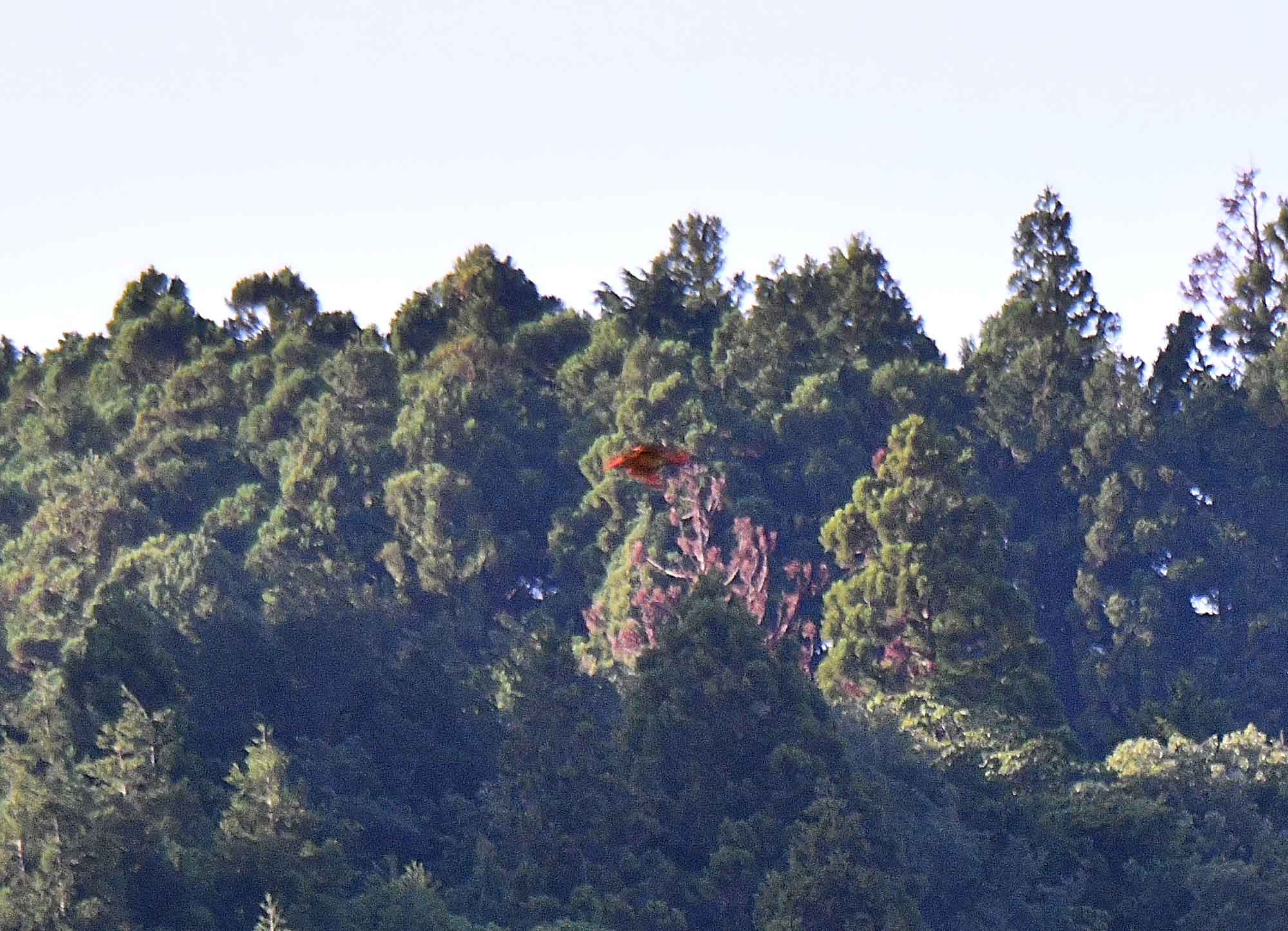 c0176183_9565910.jpg