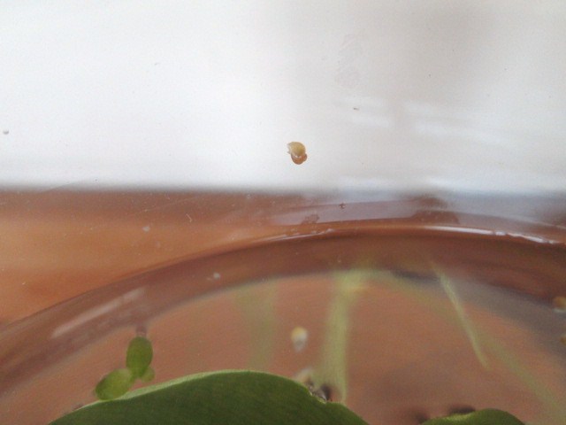 a0172884_13144618.jpg