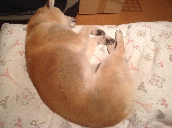 c0123890_21340667.jpeg