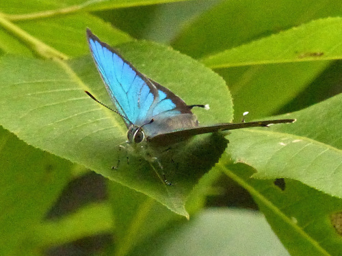 d0353091_14332049.jpg