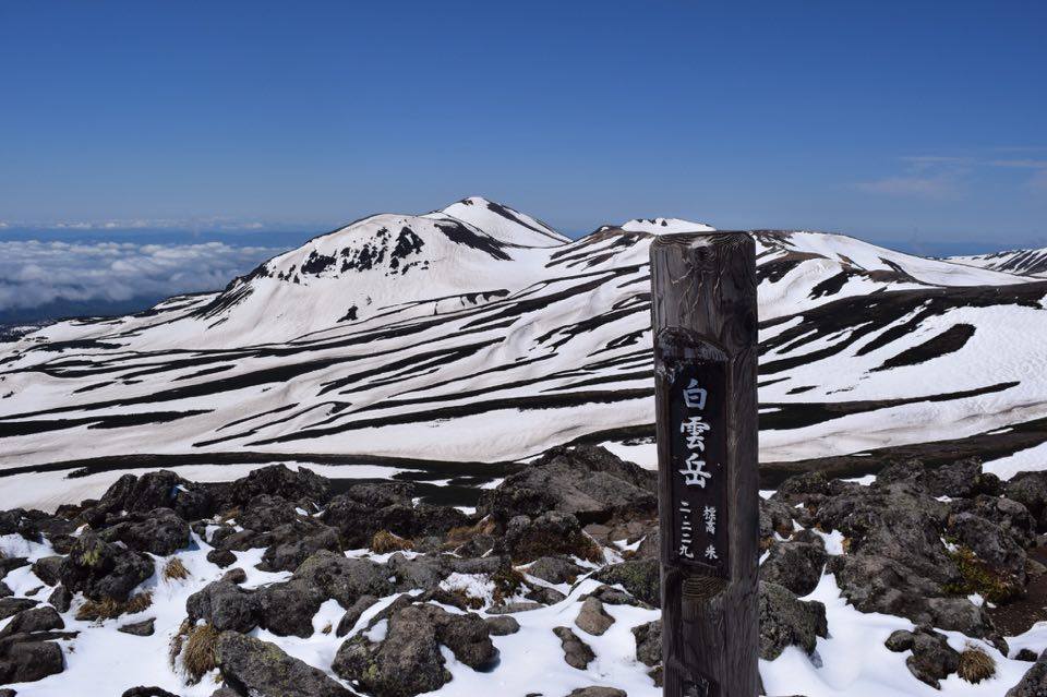 d0198793_1123499.jpg