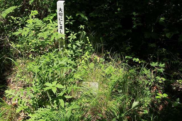 e0137200_20514712.jpg