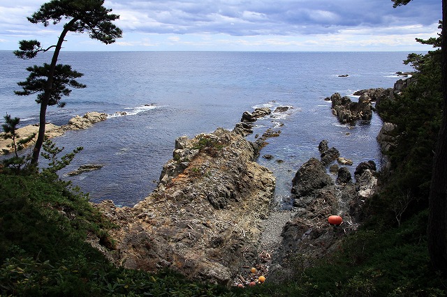 e0137200_20531252.jpg