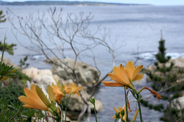 e0137200_20532391.jpg