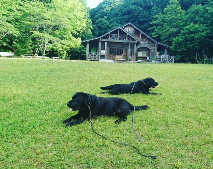 d0081210_08342688.jpg