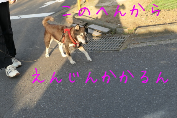 f0369014_17070912.jpg