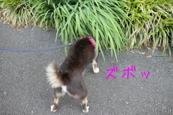 f0369014_17083766.jpg