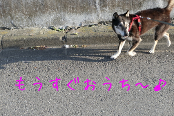 f0369014_17103802.jpg