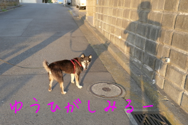 f0369014_17131000.jpg