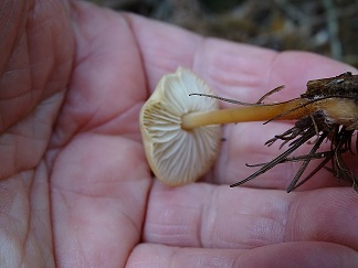 f0360815_15570755.jpg