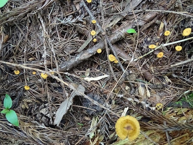 f0360815_15570817.jpg