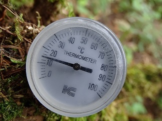 f0360815_15570864.jpg