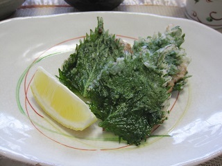 d0083316_09264851.jpg