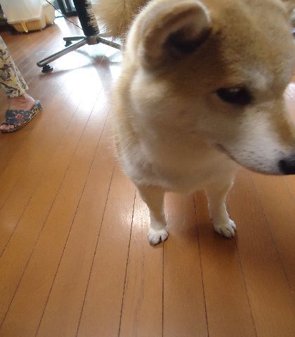 b0248920_19504055.jpg