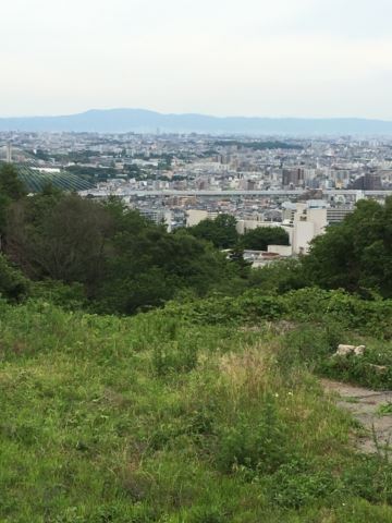c0114121_0151056.jpg