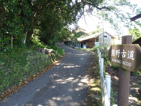 f0000521_17155881.jpg