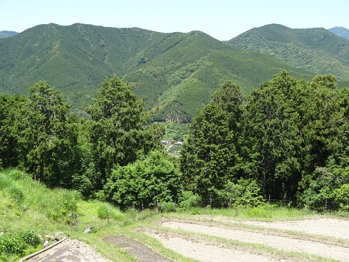f0000521_17172954.jpg
