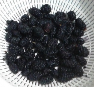 b0366527_07152152.jpg