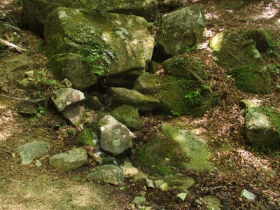 b0309230_22161874.jpg