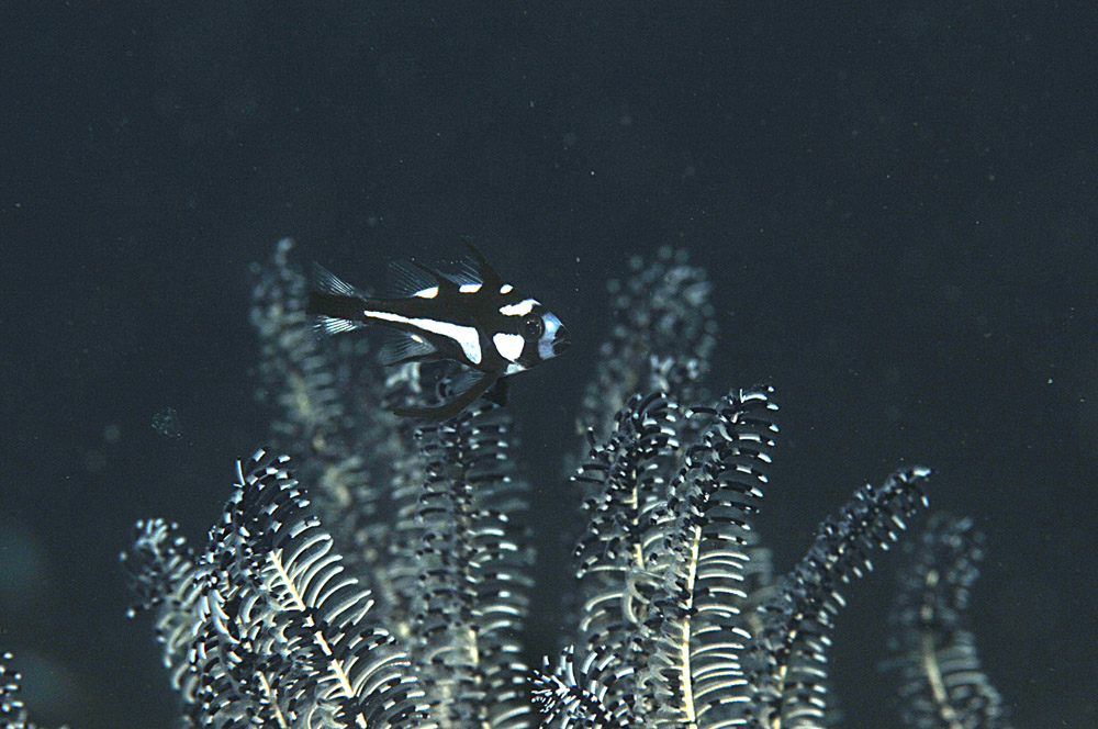 e0367330_2134161.jpg