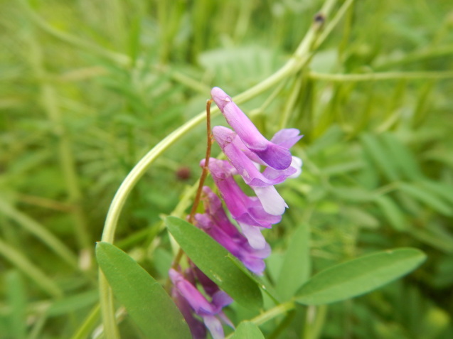 f0118332_23592175.jpg