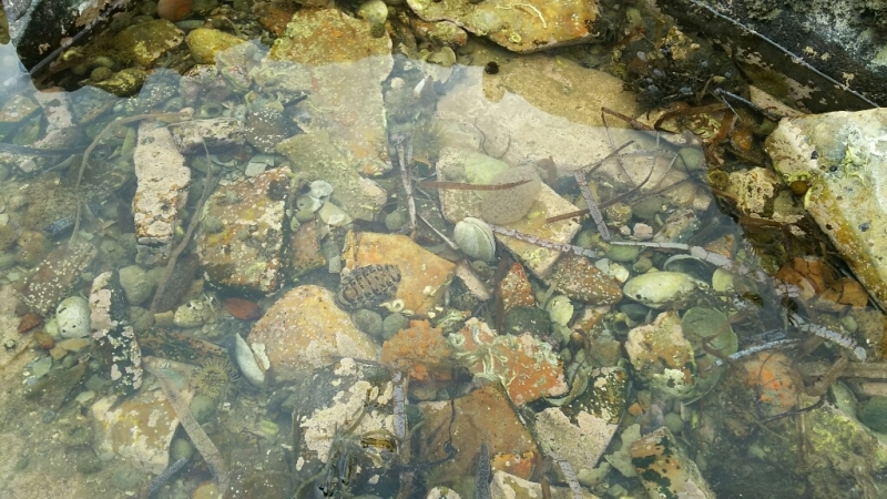e0305834_00011282.jpg