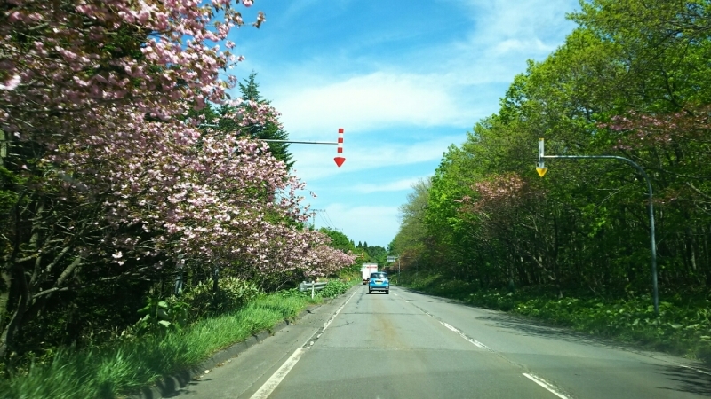 e0305834_07433500.jpg