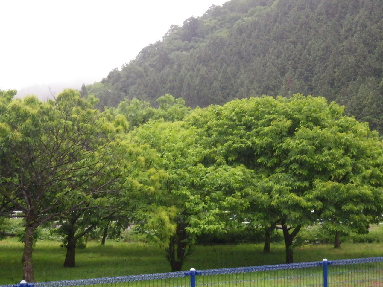 c0300035_17185590.jpg