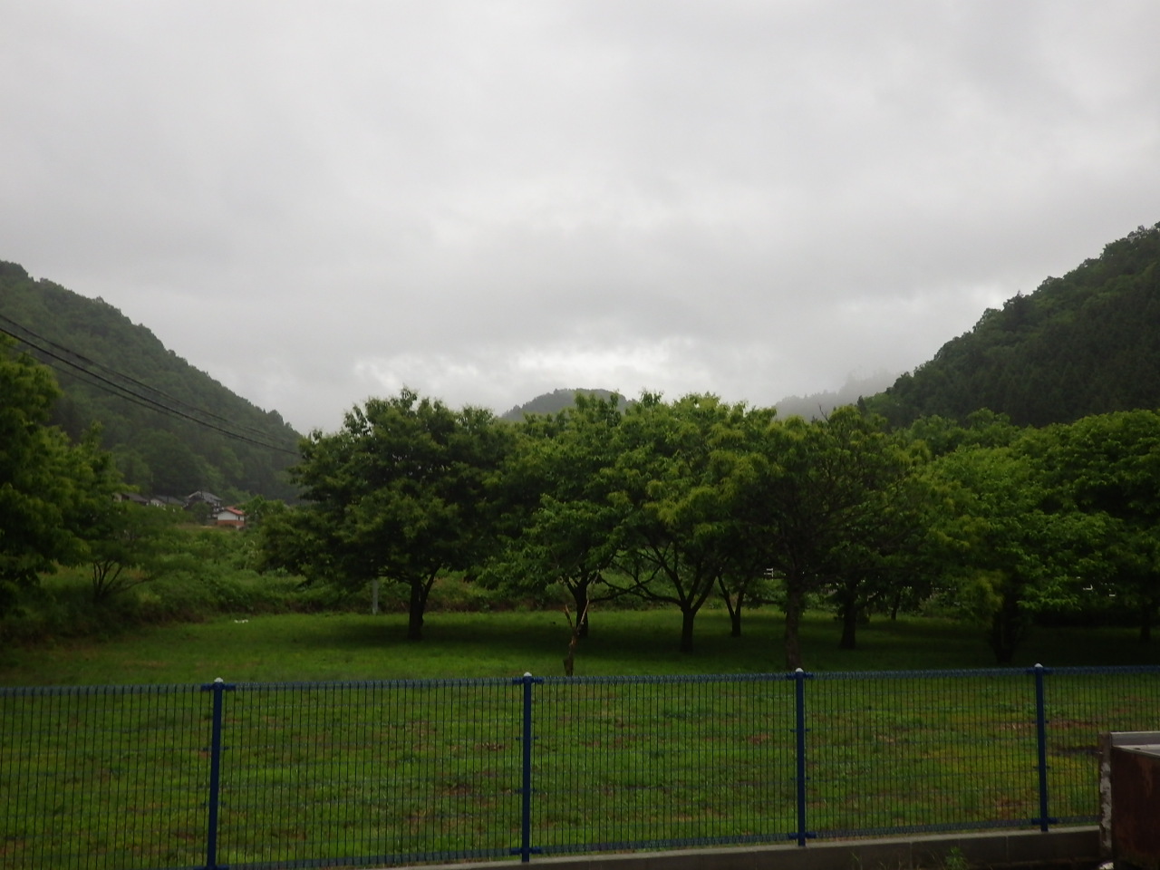 c0300035_17190659.jpg