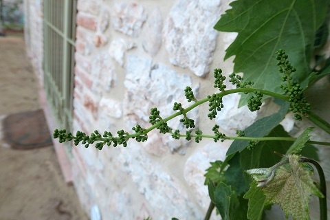 f0234936_5595989.jpg