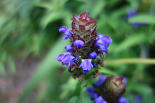 f0375039_08550491.jpg