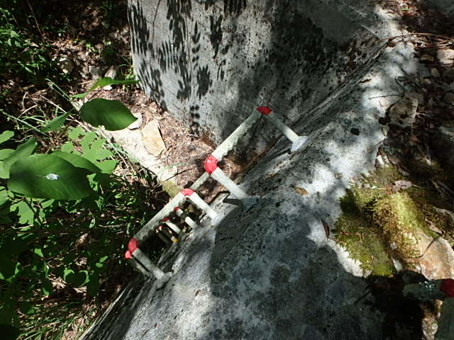 f0334143_7592326.jpg
