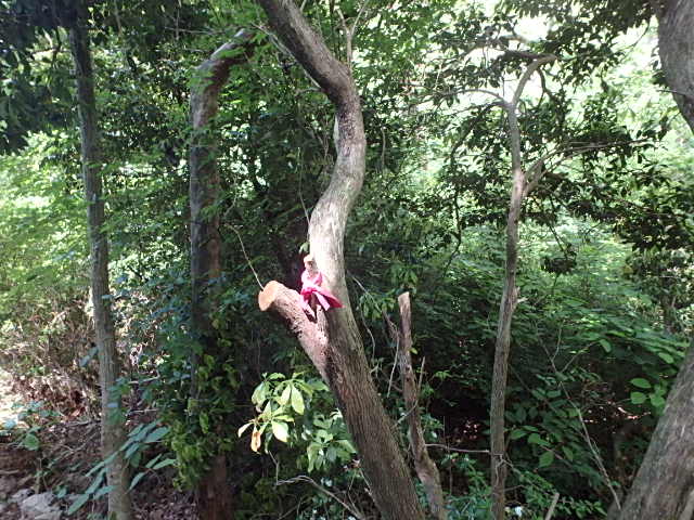 f0334143_801471.jpg