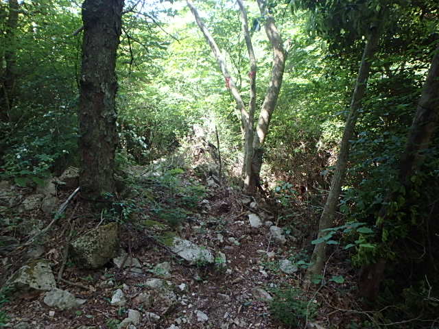 f0334143_802734.jpg