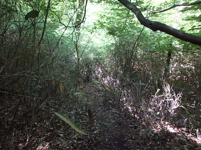 f0334143_804648.jpg