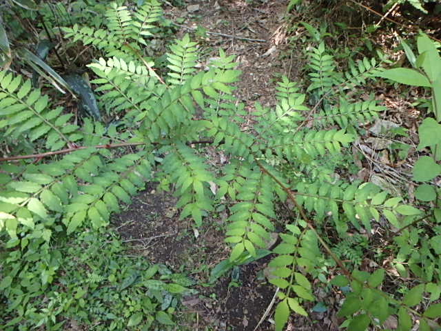 f0334143_81192.jpg